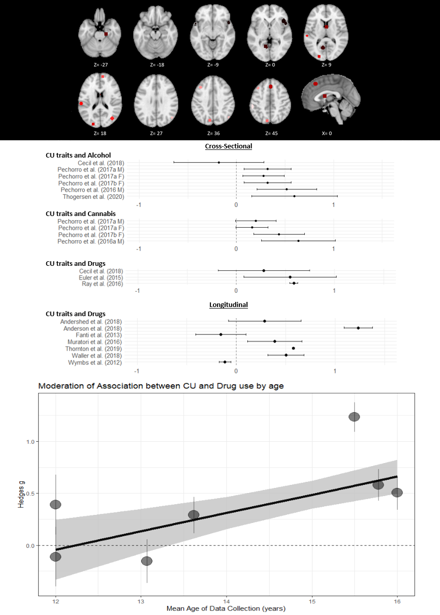 Systematic Review And Meta-analysis Of Socio-cognitive And Socio ...