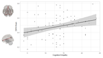 Network functional connectivity underlying dissociable cognitive and affective components of empathy in adolescence