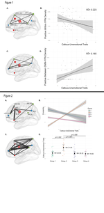 Resting-state network topology characterizing callous-unemotional traits in adolescence