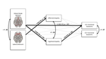 Cognitive and Affective Empathy as Indirect Paths Between Heterogeneous Depression Symptoms on Default Mode and Salience Network Connectivity in Adolescents