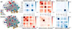 Connectome-based predictive modeling of empathy in adolescents with and without the low-prosocial emotion specifier