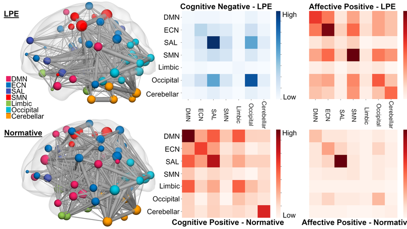 Connectome-based predictive modeling of empathy in adolescents with and without the low-prosocial emotion specifier