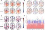 Efficiency of heterogenous functional connectomes explains variance in callous-unemotional traits after computational lesioning of cortical midline and salience regions