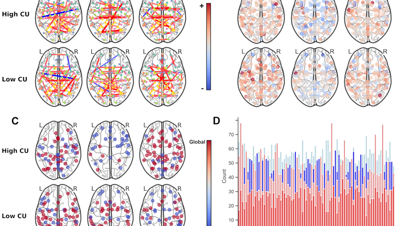 Efficiency of heterogenous functional connectomes explains variance in callous-unemotional traits after computational lesioning of cortical midline and salience regions