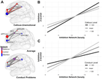 Executive function and underlying brain network distinctions for callous-unemotional traits and conduct problems in adolescents