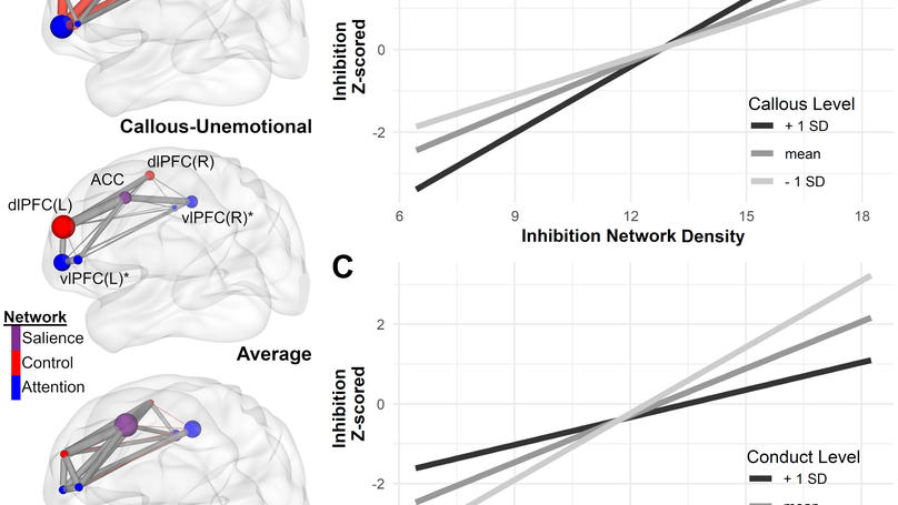 Executive function and underlying brain network distinctions for callous-unemotional traits and conduct problems in adolescents